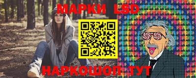 mdpv Рыбинск