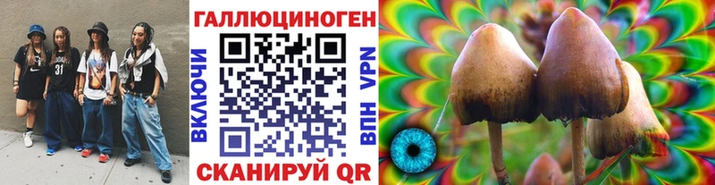 MEGA онион  Тихвин  Галлюциногенные грибы Psilocybe 