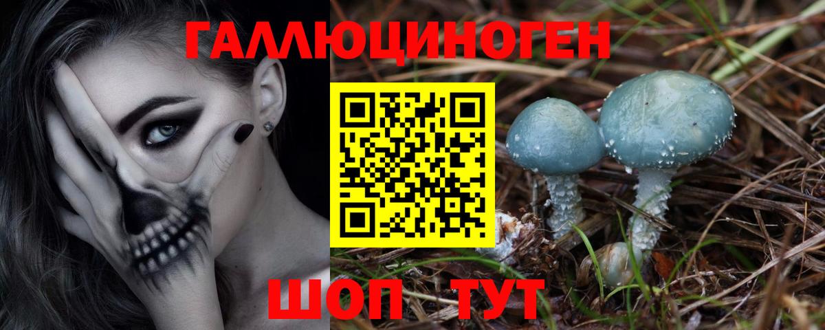 Тихвин  как найти закладки  Вход с VPN  Галлюциногенные грибы прущие грибы 