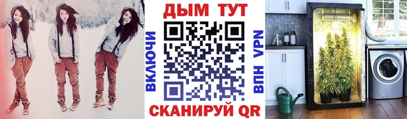 МАРИХУАНА семена  Тихвин 